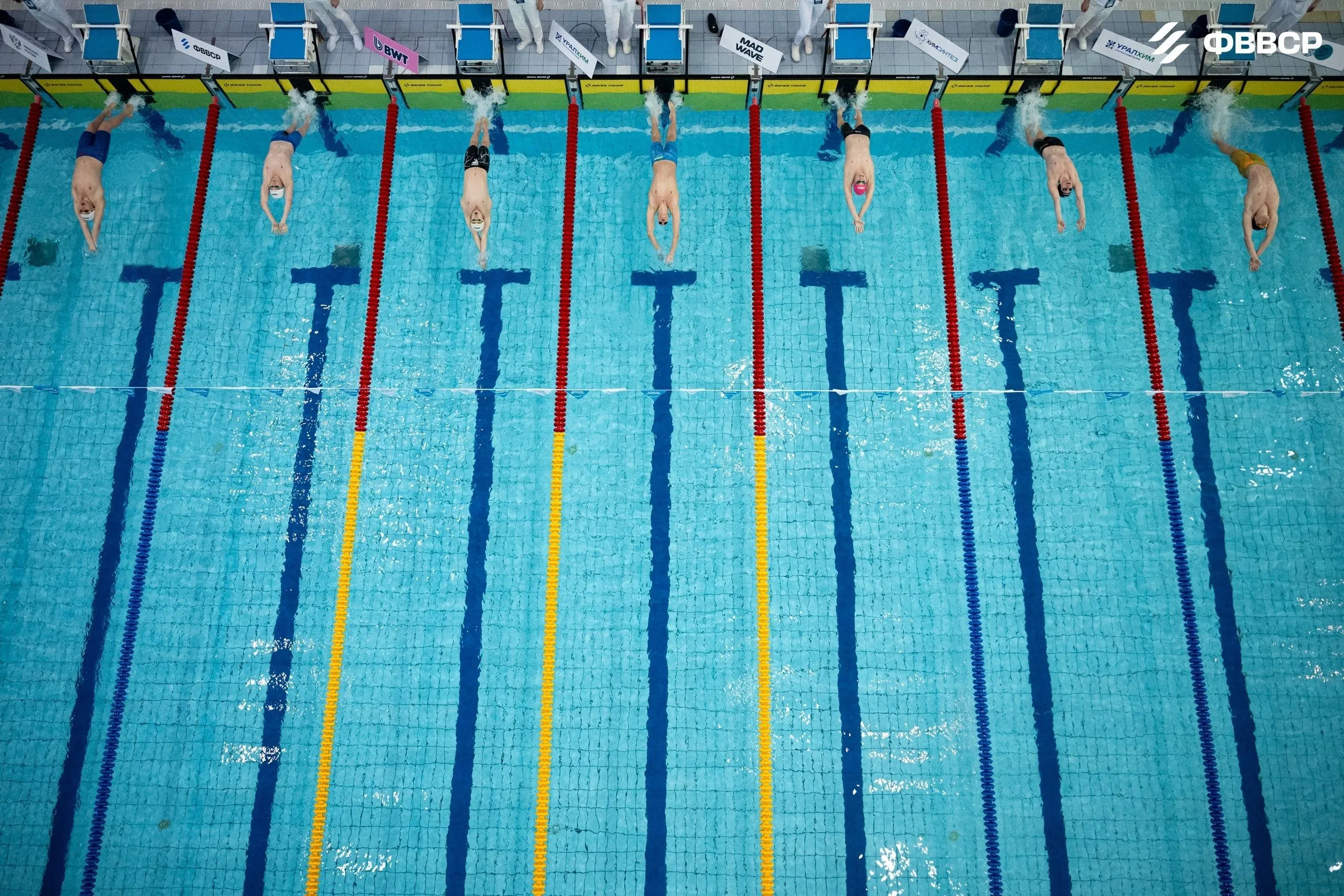 Кубок России по плаванию. 24 часа до финиша