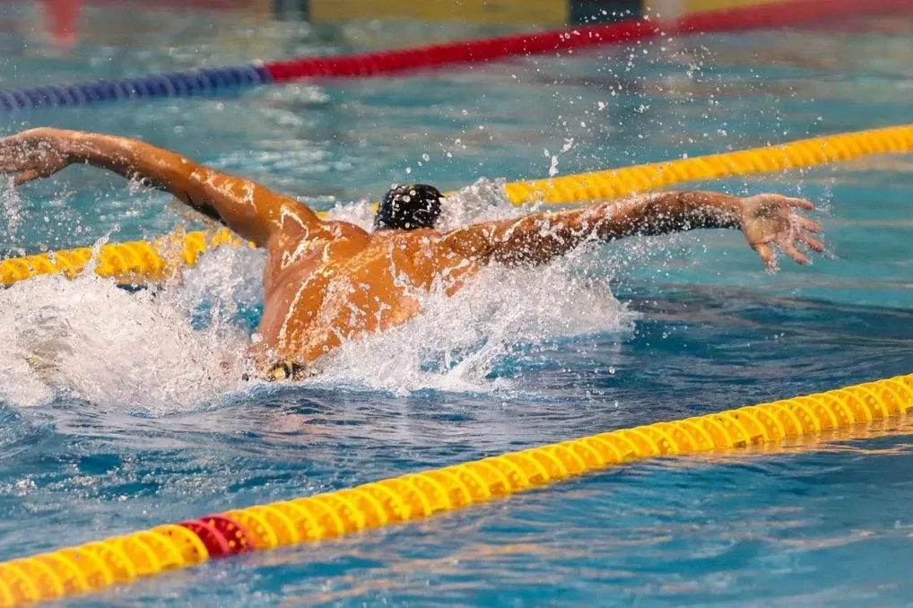 Разделительные дорожки_ГК ПТК Спорт.JPG